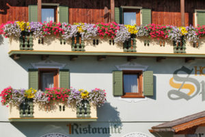 Hotel-Sport-Sappada-Dolomiti-Hotel-in-centro-a-Sappada-vicino-alle-piste-7-300x200